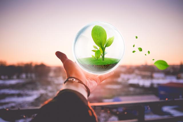 地塊土壤和地下水中揮發(fā)性有機物采樣技術(shù)導(dǎo)則