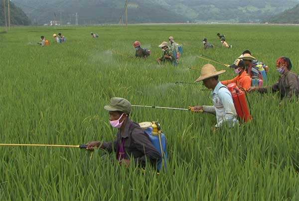 固體廢物 有機(jī)磷類和擬除蟲菊酯類等 47 種農(nóng)藥的測(cè)定 氣相色譜-質(zhì)譜法