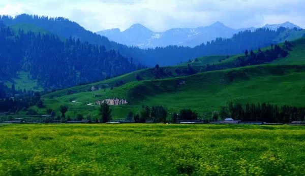 環(huán)境空氣 無機(jī)有害氣體的應(yīng)急監(jiān)測 便攜式傅里葉紅外儀法