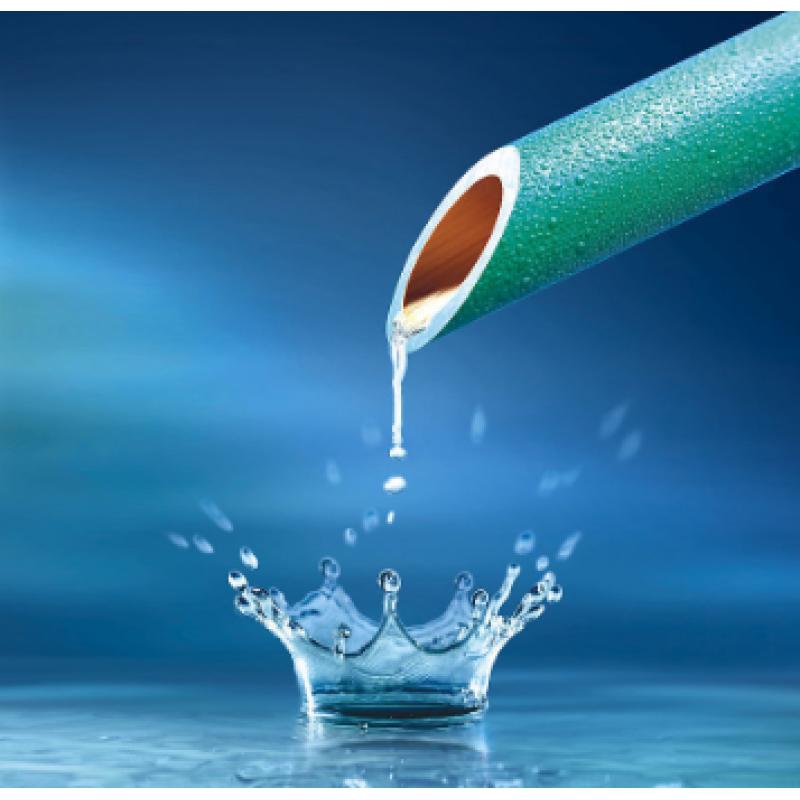 水質(zhì) 氯酸鹽、亞氯酸鹽、溴酸鹽、二氯乙酸和三氯乙酸的測(cè)定 離子色譜法