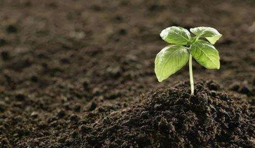 土壤 粒度的測定吸液管法和比重計(jì)法